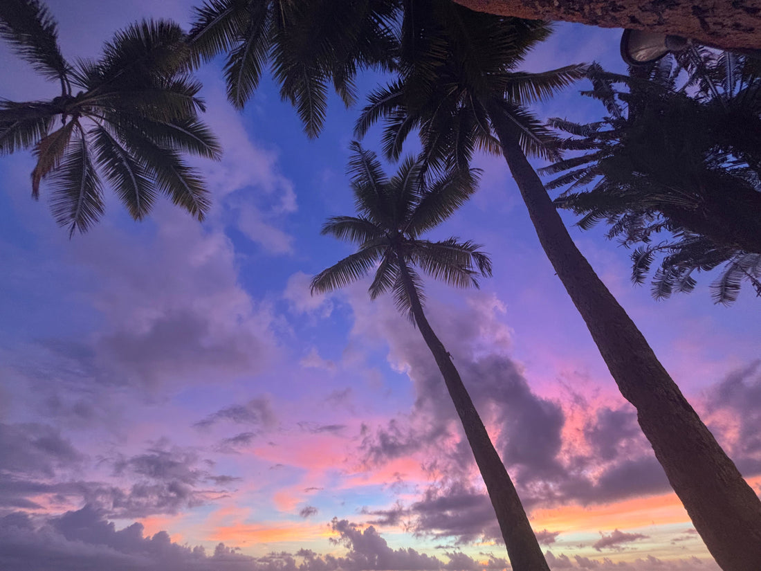 Fiji Time: Absorbing Beauty and Transcending Moments into Art