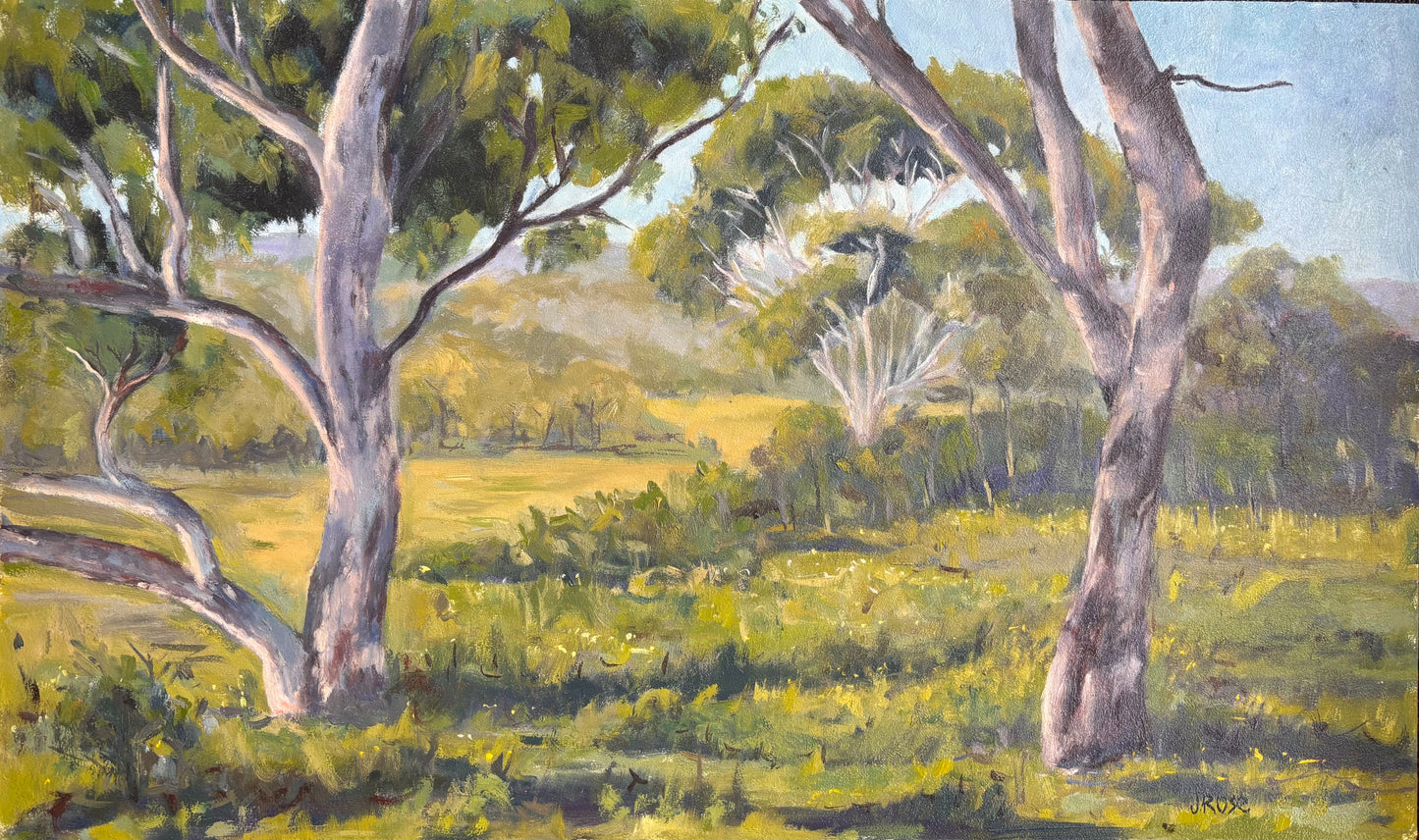 The Great Australian Bush| Landscape| Oil painting | Impressionist | JudithRoseArt | collector | Australian Artist