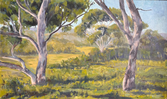 The Great Australian Bush| Landscape| Oil painting | Impressionist | JudithRoseArt | collector | Australian Artist