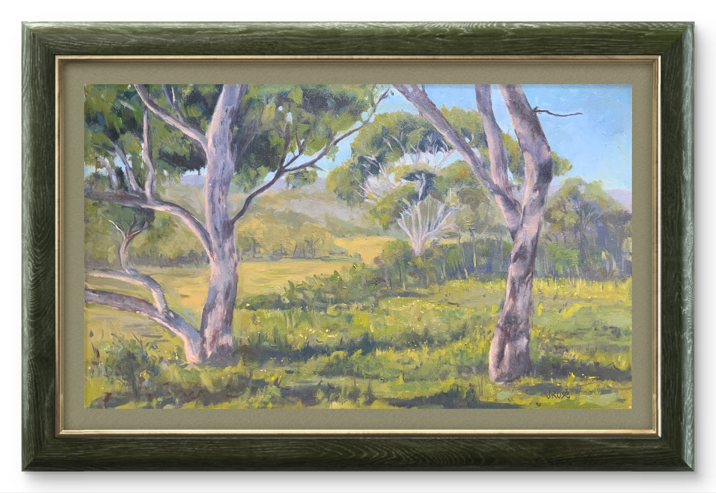 The Great Australian Bush| Landscape| Oil painting | Impressionist | JudithRoseArt | collector | Australian Artist