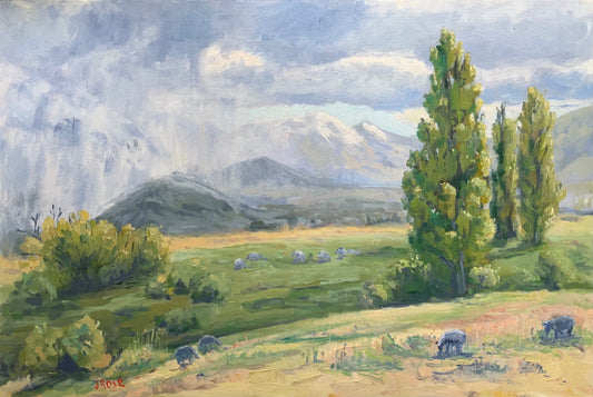 Sheep in the meadow| Landscape| Oil painting | Impressionist | JudithRoseArt | collector