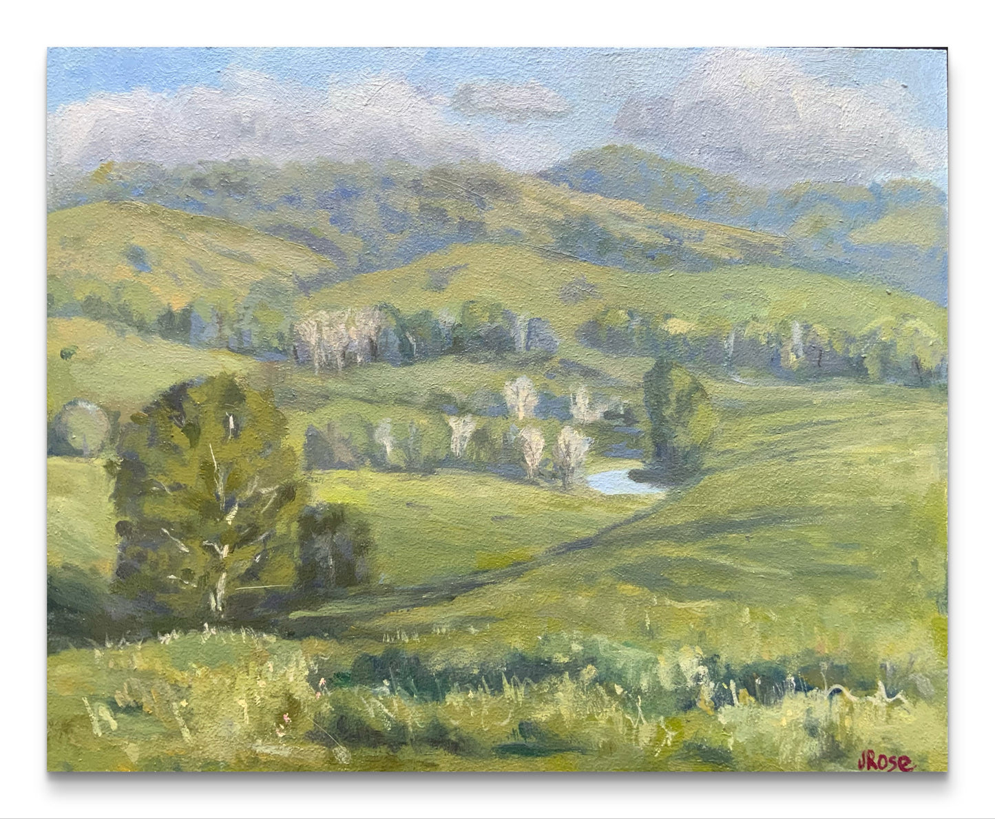 Green pastures with dam | Oil painting | Impressionist | JudithRoseArt | collector | Australian Artist