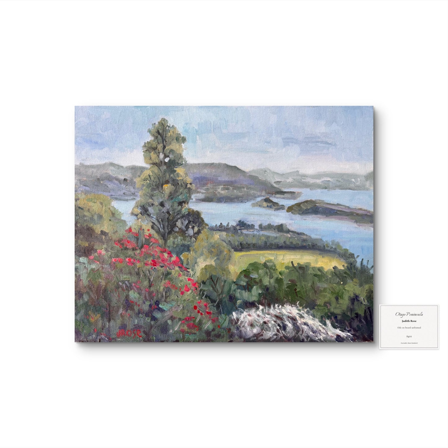 Dunedin | Impressionist Oil Painting | Judith Rose Art