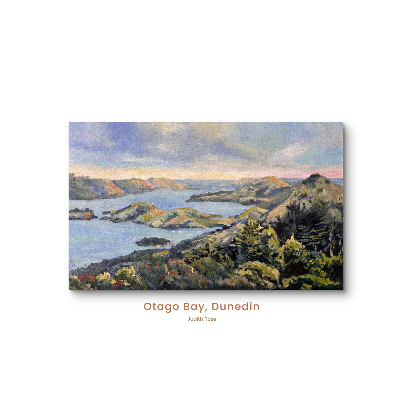 Otago Peninsula Dunedin| Impressionist Oil Painting | Judith Rose Art