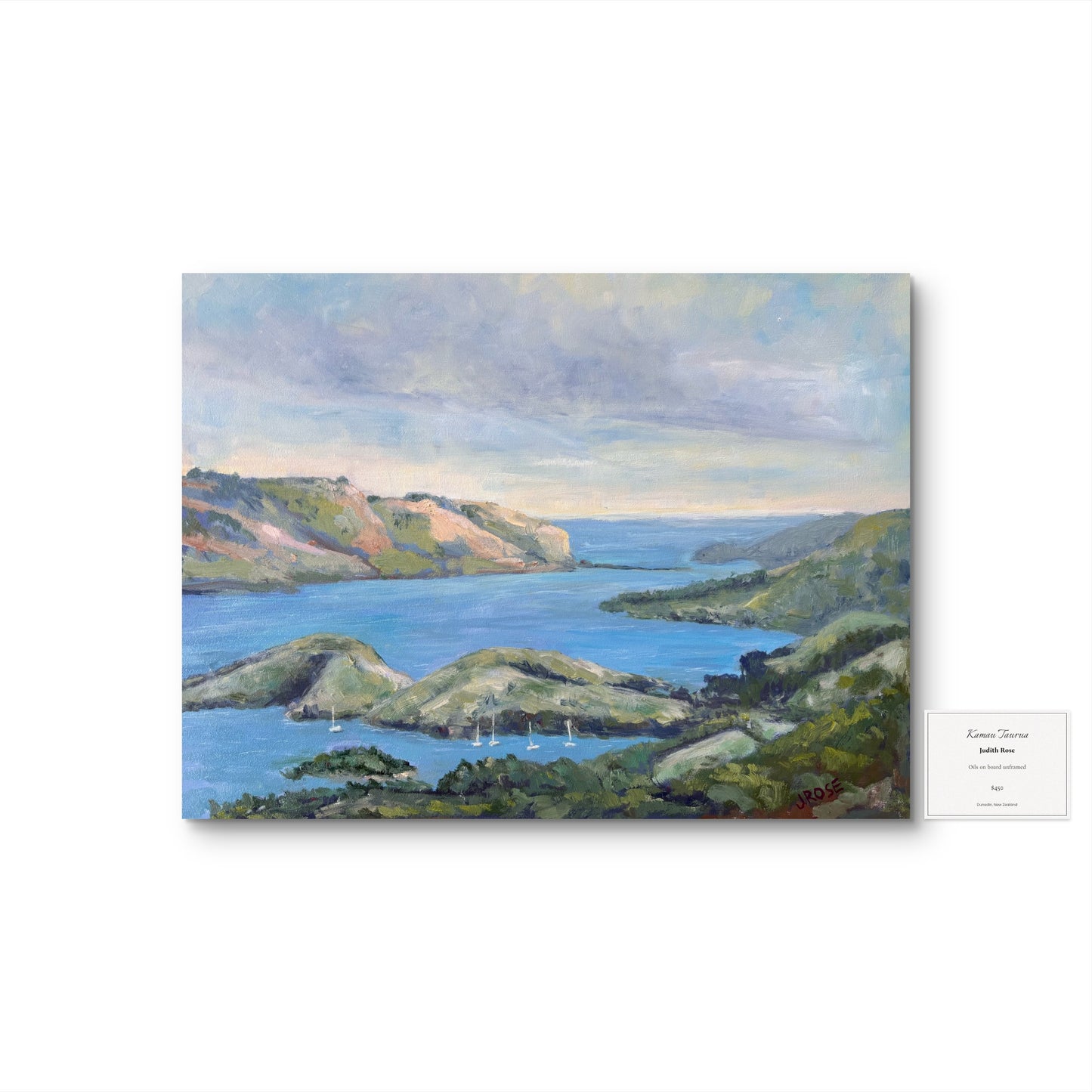 Kamau Tūāra Dunedin | Impressionist Oil Painting | Judith Rose Art