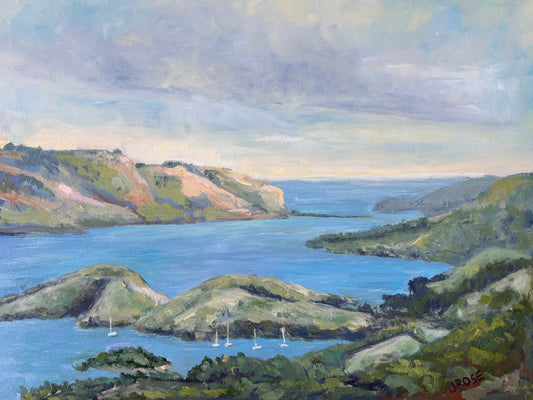 Kamau Tūāra Dunedin | Impressionist Oil Painting | Judith Rose Art