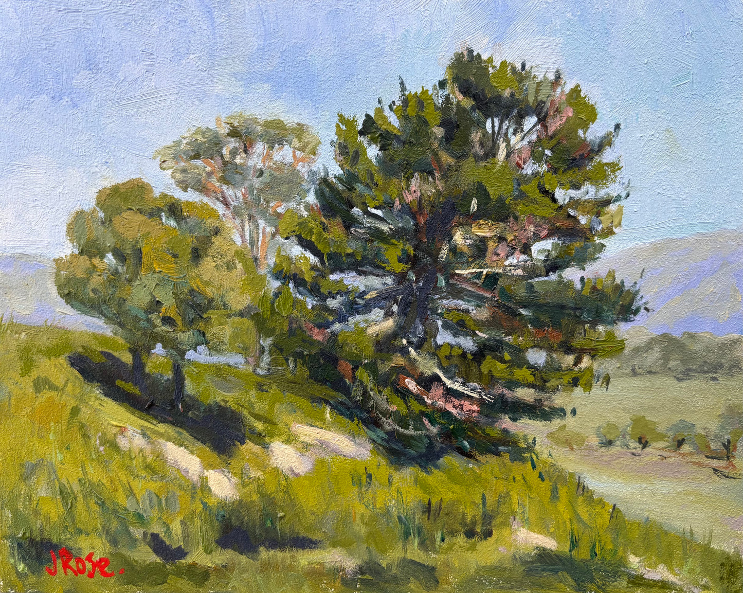 Pine on the Side | Impressionist Oil Painting | Judith Rose Art