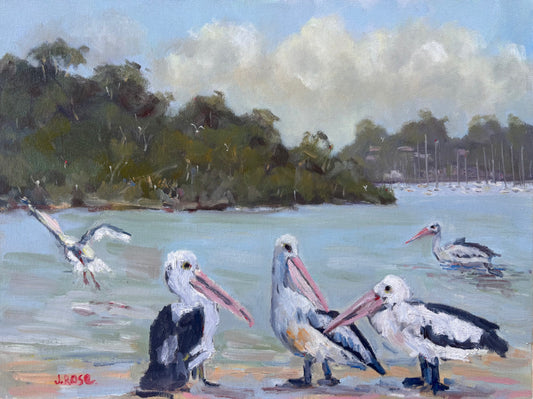 Pelican Twist | Impressionist Oil Painting | Judith Rose Art