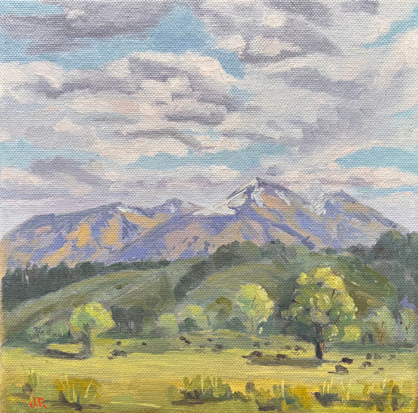 Green Meadows |Landscape| Oil painting | Impressionist | JudithRoseArt | collector | Australian Artist