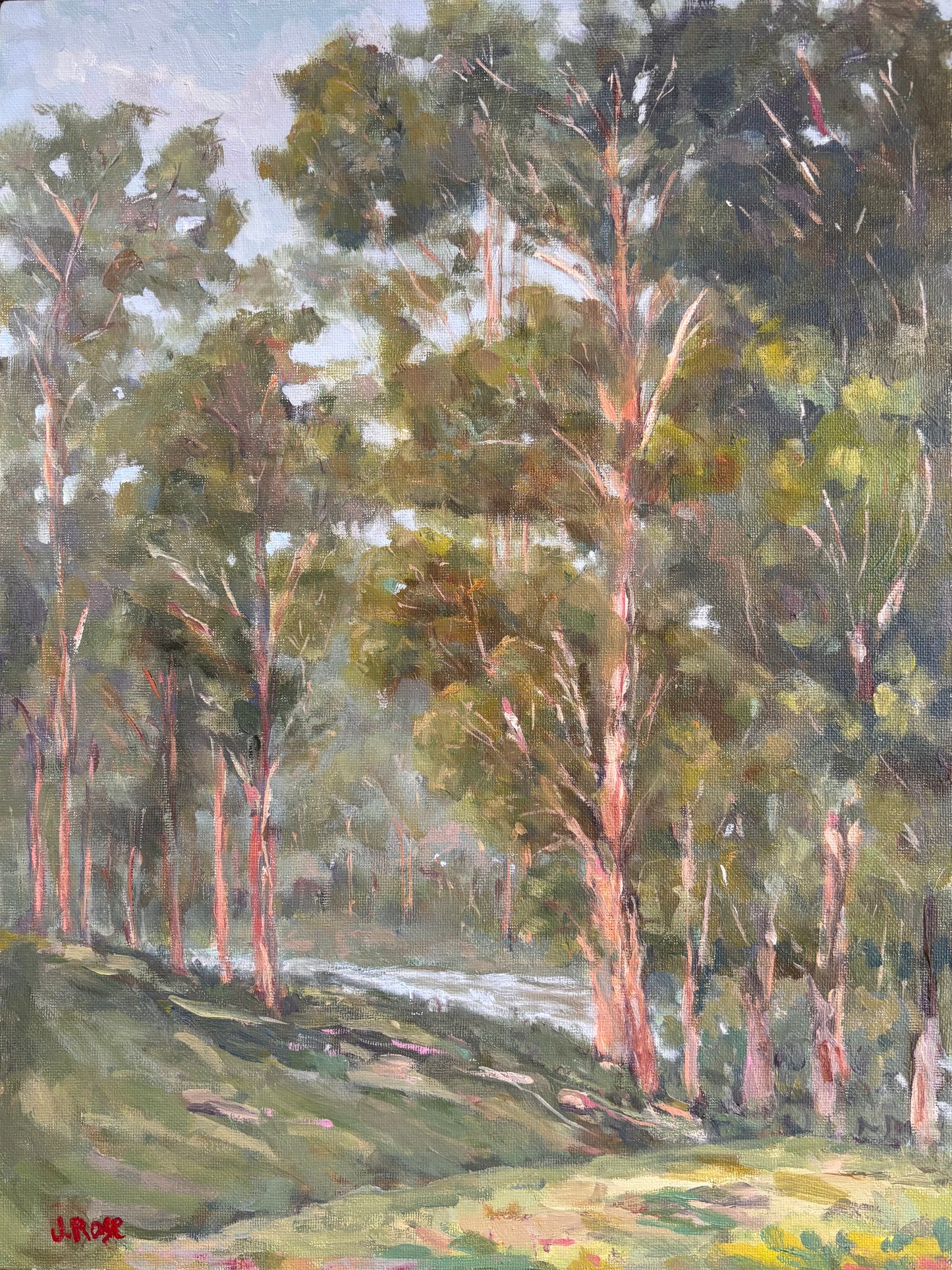 Dingo Creek|Noosa Landscape| Oil painting | Impressionist | JudithRoseArt | collector | Australian Artist