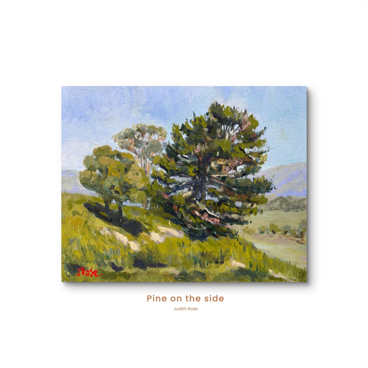 Pine on the Side | Impressionist Oil Painting | Judith Rose Art